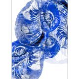 ClaireGross-illustration