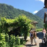 Parc naturel régional de la Vallée du Trient