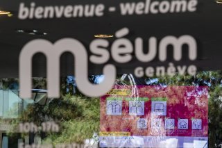 Le Muséum de Genève est le plus grand musée d'histoire naturelle de Suisse avec des collections comprenant plus de 15 millions de spécimens (archives).