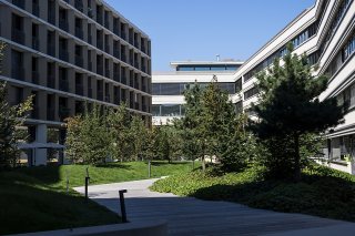 Morges veut plus d'arbres pour couvrir son territoire (archives).