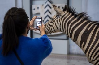 Les Musées de Genève, dont fait partie le Musée d'art et d'histoire, ont enregistré 1'630'429 visites en 2022. Elles renouent avec le niveau d'avant la pandémie (archives).