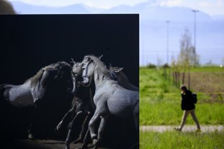 Avec sa série "Chimères", Matthieu Gafsou fait le récit d'une planète en ruine, à l'aide de programmes de génération d'images utilisant l'intelligence artificielle.