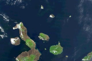 L'archipel des Galapagos, qui se situe à 1000 km au large de l'Équateur, possède une faune et une flore uniques au monde (archives).
