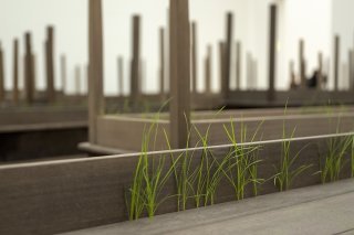 L'oeuvre Plegaria Mida (2008-2010) de Doris Salcedo fait partie des installations présentées à Riehen (BS) dans l'exposition consacrée à l'artiste colombienne par la Fondation Beyeler. Elle est notamment constituée de tables posées les unes sur le...