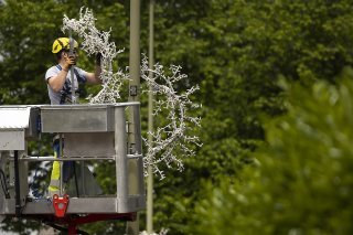 Des éléments de la décoration lumineuse de Noël, offerte par Tina Turner à sa commune de Küsnacht (ZH), ont été installés jeudi, suite au décès de la star du rock.