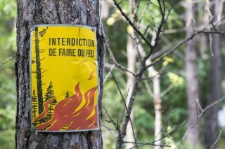Le danger d'incendie de forêt est passé mardi au niveau 3 sur 5 (marqué) sur une grande partie du canton de Vaud (archives).
