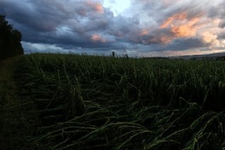 Météo Suisse s'attend jeudi à de violents orages sur la Suisse dès midi avec des rafales de vent de plus de 100 km/h, de la grêle et des impacts de foudre (archives).
