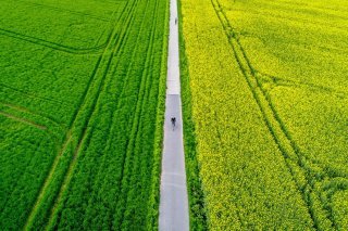 Ecorobotix est notamment spécialisée dans la pulvérisation intelligente des cultures (photo d'illustration).