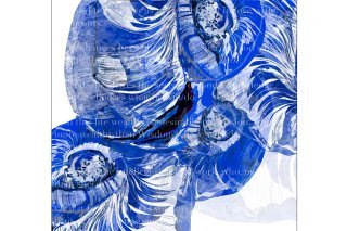 ClaireGross-illustration