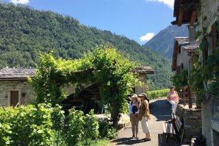 Parc naturel régional de la Vallée du Trient