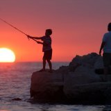 Le changement climatique a des conséquences sur la répartition des populations de poissons, leur alimentation et leur croissance.