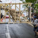Scène pour le moins insolite dans les rues de La Chaux-de-Fonds: une entreprise de déménagement a transporté une girafe empaillée vers le Muzoo, site qui va réunir le Bois du Petit-Château et le Musée d'histoire naturelle.