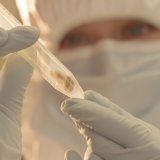 L'origine géographique de la peste noire qui a ravagé l'Europe au Moyen Age a été découverte grâce à l'ADN dentaire de sept squelettes trouvés au Kirgizisthan. (archives)