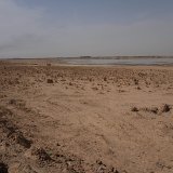 Il n'a pratiquement pas plu l'hiver dernier dans la région de Sawa quasi désertique (archives).