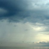 Un groupe de recherche international s'est penché sur l'évolution de la biodiversité dans les écosystèmes d'eau douce d'Europe (image d'illustration).