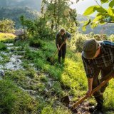 Le Valais organise la première Journée suisse de l'irrigation traditionnelle