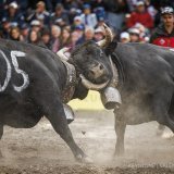 Un combat d'été est prévu à Tortin ce dimanche 20 août