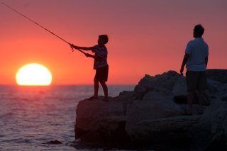 Le changement climatique a des conséquences sur la répartition des populations de poissons, leur alimentation et leur croissance.