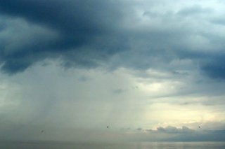 Un groupe de recherche international s'est penché sur l'évolution de la biodiversité dans les écosystèmes d'eau douce d'Europe (image d'illustration).