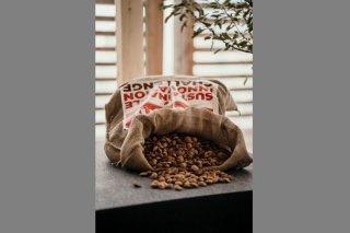 Les élèves devaient travailler avec un matériau de base: les noyaux d'abricot